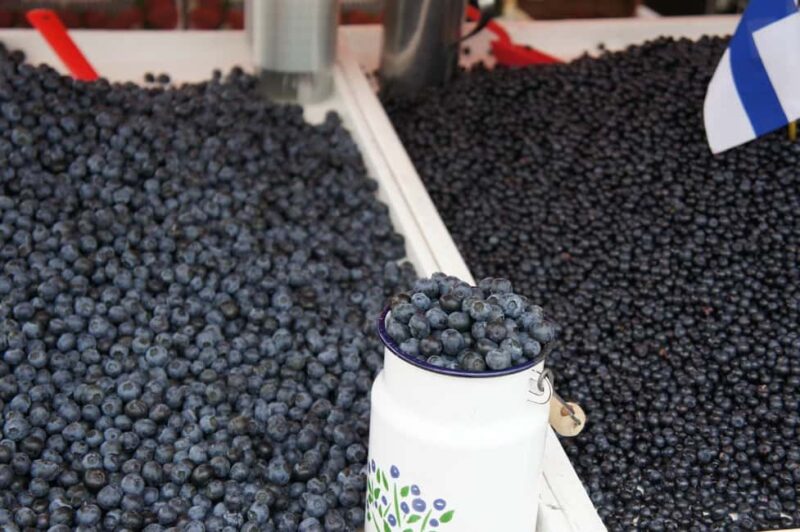 From Tallinn: Day Trip to Helsinki (Ferry, Guide & VIP Car) - Who Should Consider This Helsinki Day Trip