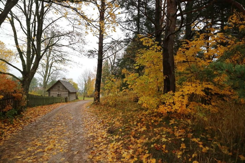 From Tallinn: Day Trip to Lahemaa National Park - The Waterfall at Jägala