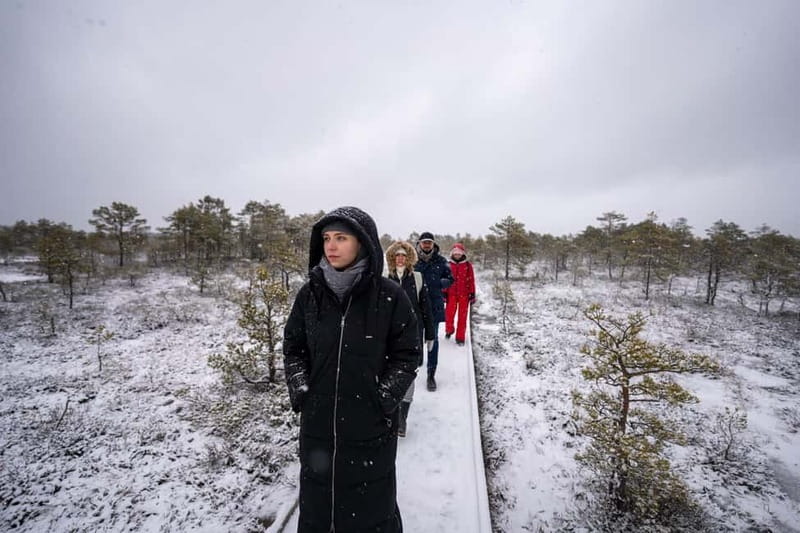 From Tallinn: Day Trip to Lahemaa National Park - The Experience of a Small Group Tour