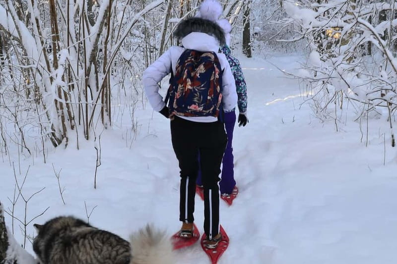 From Tallinn: Guided Bog-Shoe Hiking Tour - Unique Features of the Bog Shoes