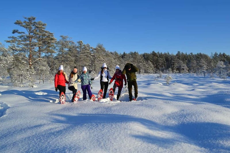 From Tallinn: Guided Bog-Shoe Hiking Tour - Learning About Flora, Fauna, and Cultural Tales
