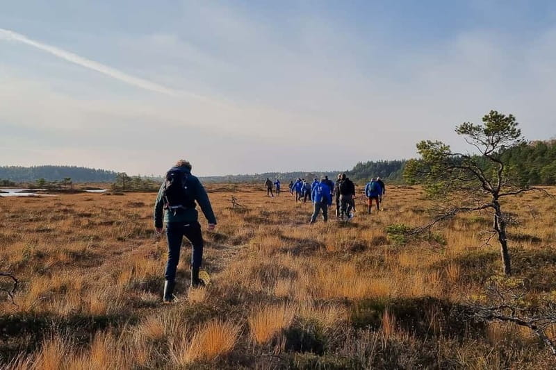 From Tallinn: Guided Bog-Shoe Hiking Tour - Practical Details and Logistics