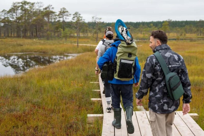 From Tallinn: Jägala Waterfall and Bog Walk Tour - Key Points