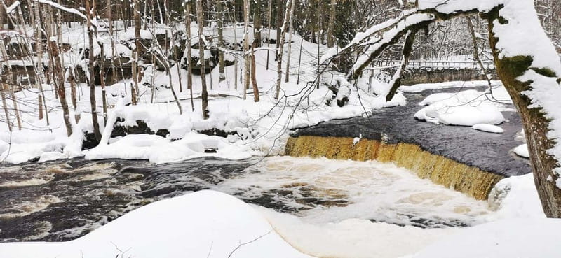 From Tallinn: Lahemaa National Park 3 Waterfall Hike - Discover the Waterfalls and Forests of Lahemaa National Park from Tallinn