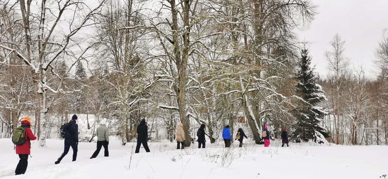 From Tallinn: Lahemaa National Park 3 Waterfall Hike - Nõmmeveski Waterfall: Estonia’s Most Powerful Flow