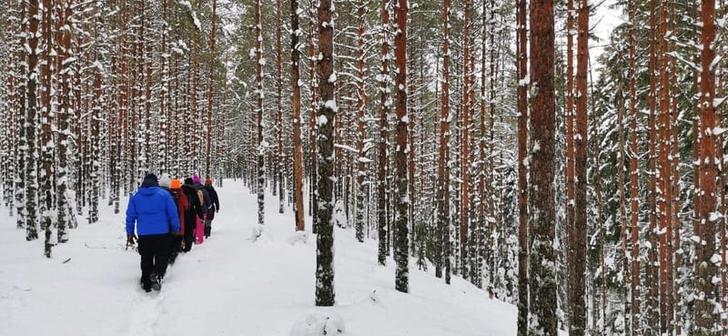 From Tallinn: Lahemaa National Park 3 Waterfall Hike - Walking the Forests and Canyon Edges