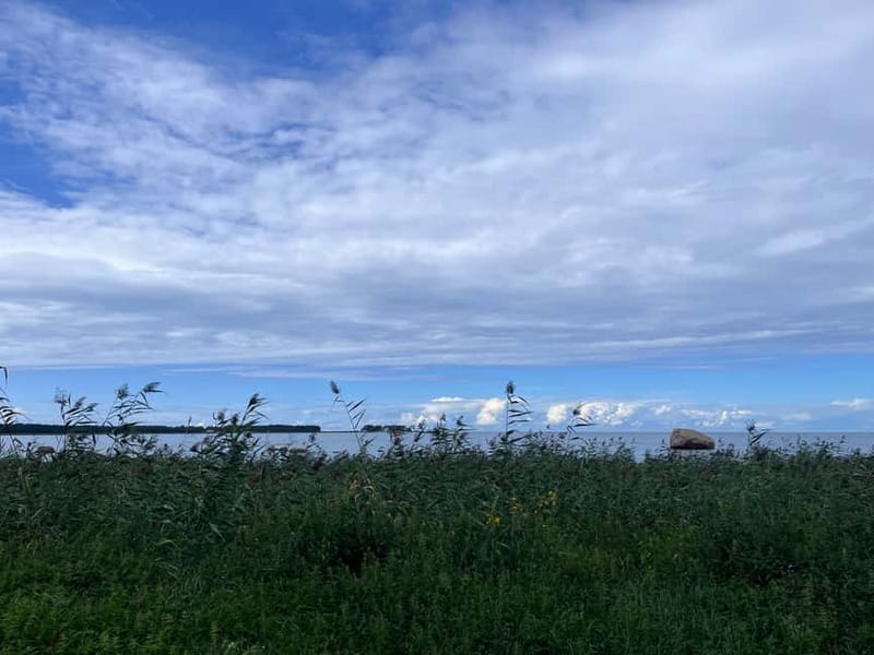 From Tallinn: Lahemaa National Park Day Trip - Key Points