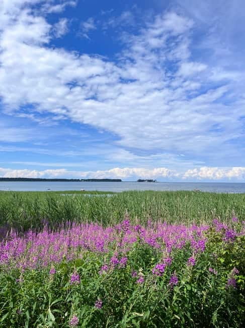 From Tallinn: Lahemaa National Park Day Trip - Frequently Asked Questions