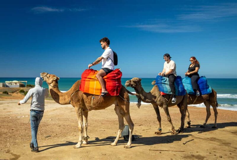 From Tangier: Cap Spartel and Hercules Cave with Camel Ride - Key Points