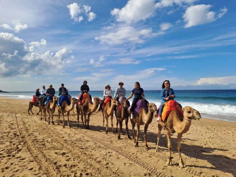 From Tangier: Cap Spartel and Hercules Cave with Camel Ride - Discovering the Scenic Beauty of Cap Spartel