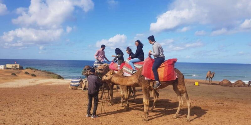 From Tangier: Cap Spartel and Hercules Cave with Camel Ride - Reviews Highlighting the Experience