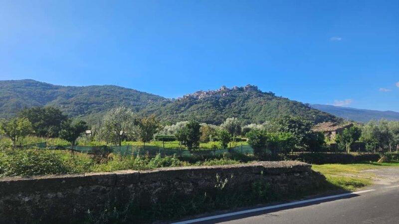 From Taormina: Castiglione di Sicilia & Wine Tasting - Olive Oil Tasting and Bread Pairing