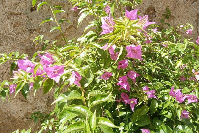 From Taormina Godfather Private Tour Forza D'Agrò and Savoca - Key Points