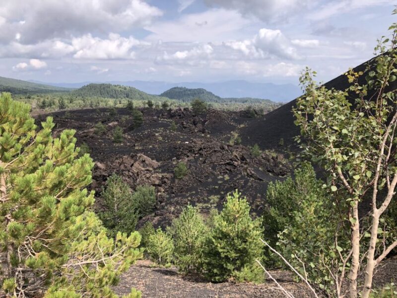 From Taormina: Half-Day Mount Etna Morning Trek - Key Points