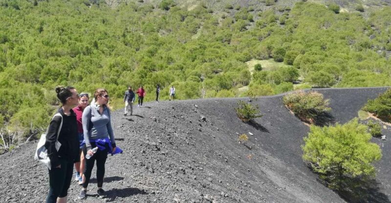 From Taormina: Half-Day Mount Etna Morning Trek - Key Points