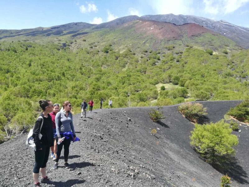 From Taormina: Half-Day Mount Etna Morning Trek - Scenic Views and Photo Opportunities