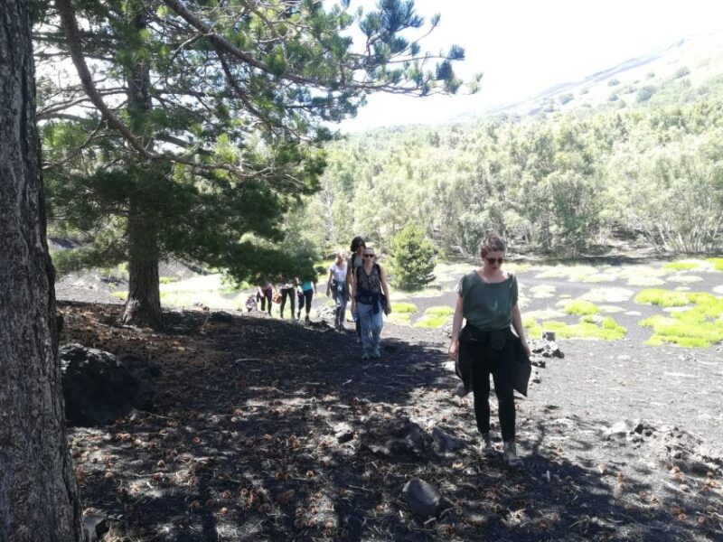 From Taormina: Half-Day Mount Etna Morning Trek - Lunch and Wine Tasting at a Sicilian Winery