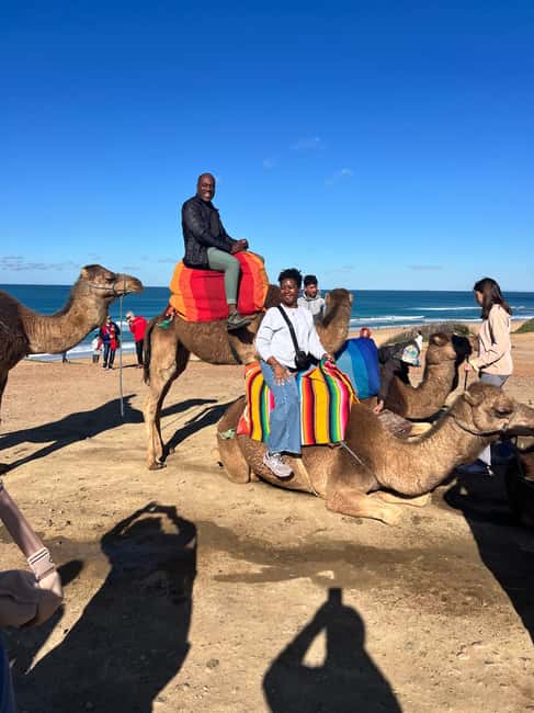 From Tarifa: Tangier Day Trip with Lunch and Ferry - Key Points