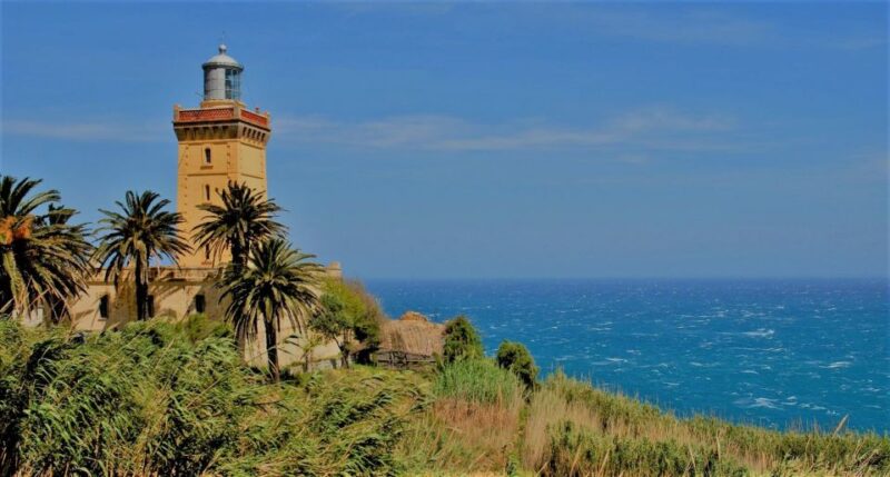 From Tarifa: Tangier Full-Day Trip with Lunch - The Overall Value and Suitable Audience