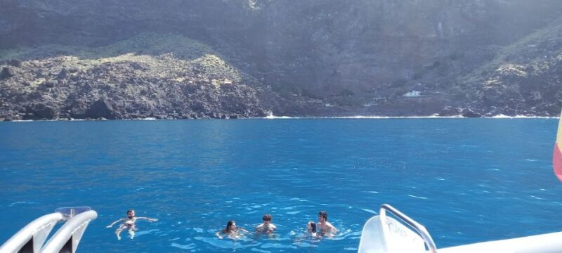 From Tazacorte: Discover the Northwest Coast by Speedy Yacht - Key Points