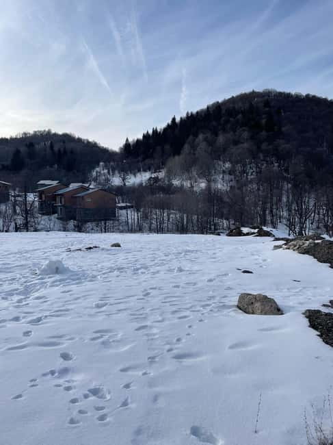 From Tbilisi: Bakuriani and Borjomi Day Trip - Exciting Day Trip to Bakuriani and Borjomi from Tbilisi