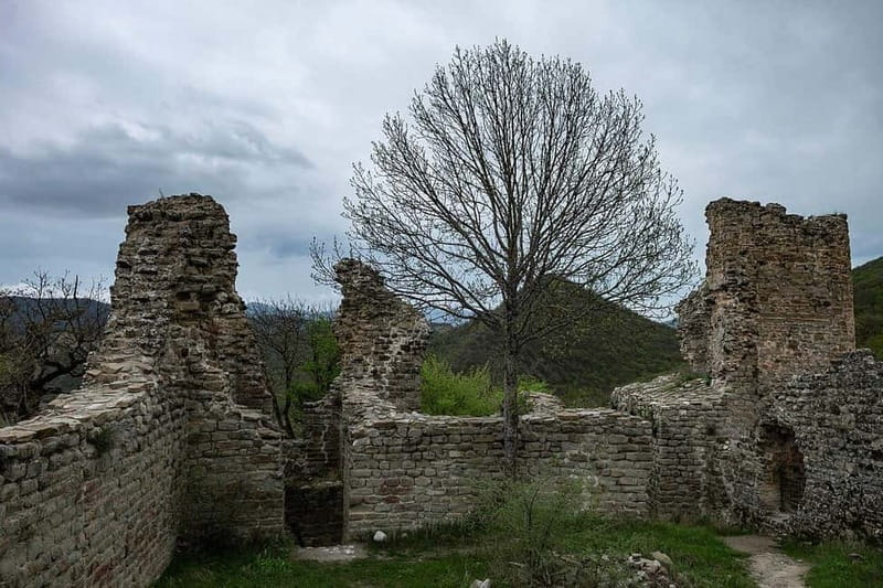 From Tbilisi: Bodbe, Sighnaghi and Telavi Day Trip - Starting Point at Pheasant Monument in Tbilisi