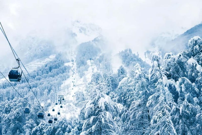 From Tbilisi: Borjomi and Bakuriani Ski Resort Private Tour - Discovering Borjomis Famous Mineral Waters and Lush Forests