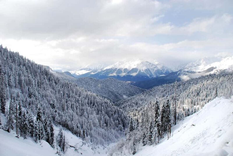 From Tbilisi: Borjomi and Bakuriani ski resort Tour - Key Points
