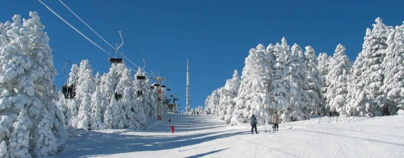 From Tbilisi: Borjomi and Bakuriani ski resort Tour - Comparing This Tour to Similar Options