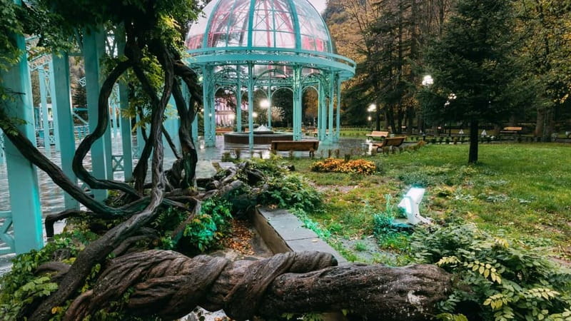 From Tbilisi: Borjomi, Rabati, and Vardzia Guided Day Trip - Discover Georgia’s Cultural and Natural Treasures on a Full-Day Tour from Tbilisi