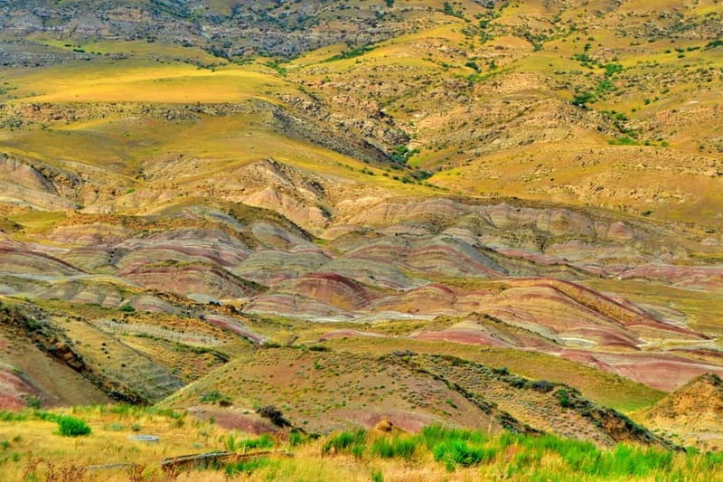 From Tbilisi: David Gareji Monastery and Wine Tasting Tour - Accessibility, Duration, and Booking Details