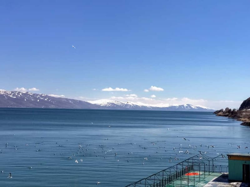 From Tbilisi: Dilijan & Sevan Lake Full-Day Tour to Armenia - Optional Activities and Local Cuisine in Sevan