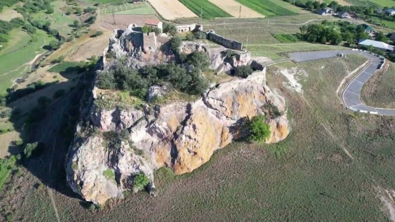 From Tbilisi: Dmanisi Archaeological Site Day Trip - Exploring the Dmanisi Archaeological Museum