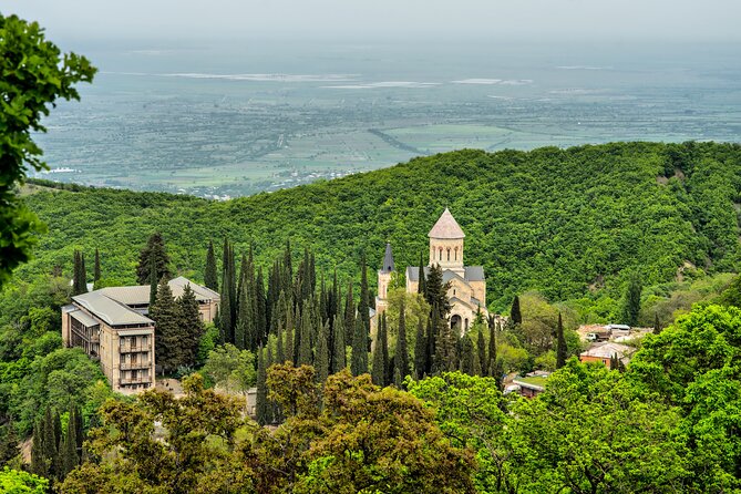 From Tbilisi: Explore the City of Love Kakheti Tour - Included Amenities and Practical Details