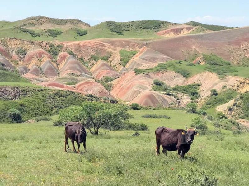 From Tbilisi: Kakheti and Kazbegi 2-Day 4X4 Jeep Tour pack - Physical Requirements and Considerations