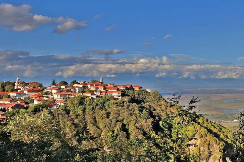 From Tbilisi: Kakheti Tour - Bodbe, Sighnaghi, wine tasting - Practical Details and Helpful Tips for the Tour