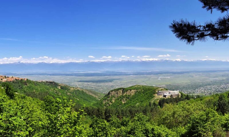 From Tbilisi: Kakheti Wine Region Tour with 11 Wine Tasting - The Guide’s Role and Local Insights