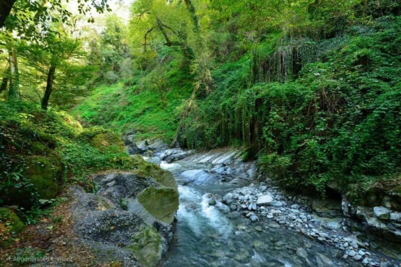 From Tbilisi: Private Ninoskhevi Waterfall Hike in Lagodekhi - Scenic Drive Through the Alazani Valley and Kakheti Region