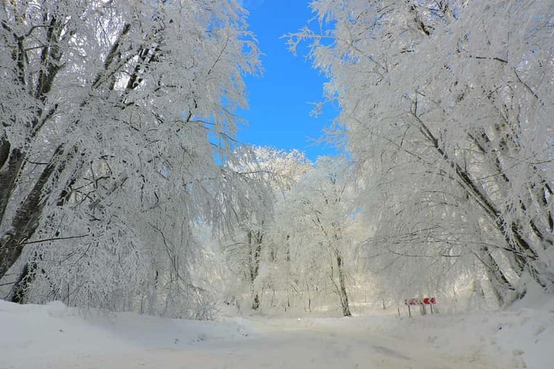 From Tbilisi: Private Sabaduri, Ananuri, & Gudauri Day Trip - Gudauri Ski Resort: Skiing, Snow Activities, and Mountain Views