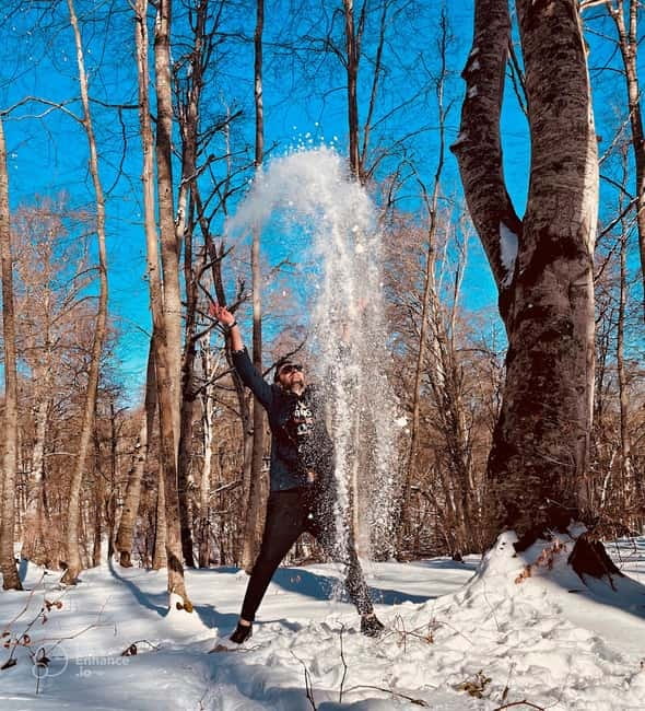 From Tbilisi: Sabaduri, Bears, Jvari & Chronicle of Georgia - Scenic Drive to the Independence of Georgia and Mountain Vistas