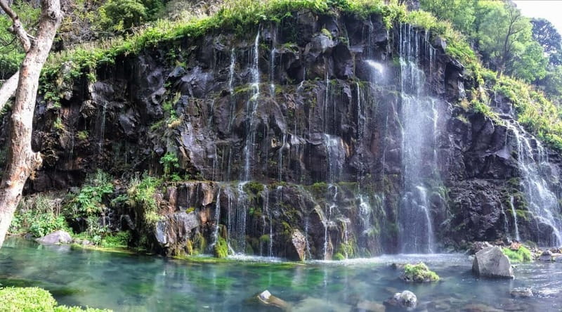 From Tbilisi to Dashbashi Canyon and the Diamond Bridge - The Guide and Overall Experience