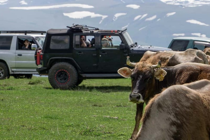 From Tbilisi: Tsalka Hills Off-Road Jeep Tour with BBQ - Lunch and a Short Hike for Better Views