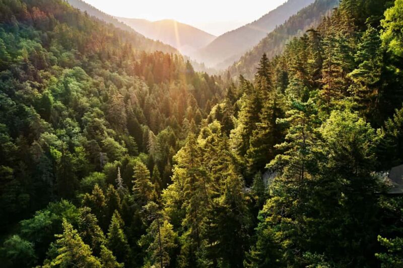 From Tbilisi: Uplistsikhe, Borjomi, and Green Monastery Tour - What’s Included and What’s Not