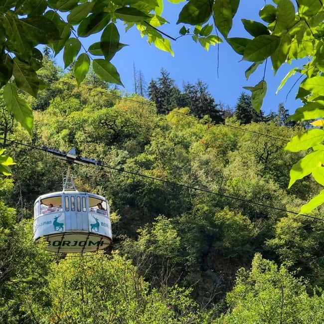 From Tbilisi: Vardzia, Rabati, and Borjomi Private Tour - Visiting Vardzia: The Cave Monastery Complex