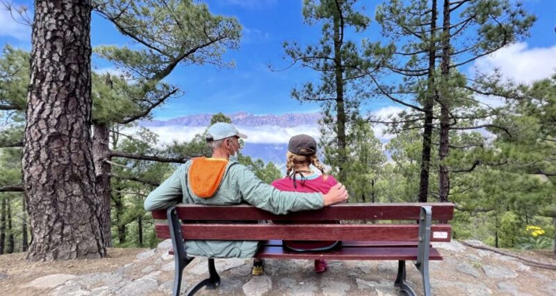 From Tenerife: Day Trip to La Palma Volcanic Landscapes - Free Time in El Paso for Local Flavors and Reflection