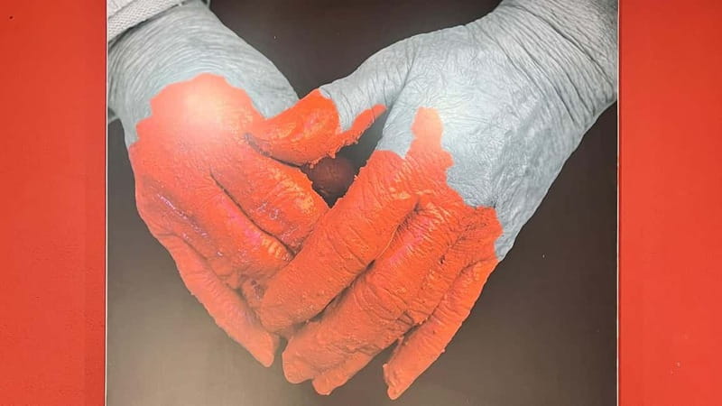 From Tenerife South: La Gomera Full-Day Trip with Transfers - Returning to San Sebastian and Historical Sights