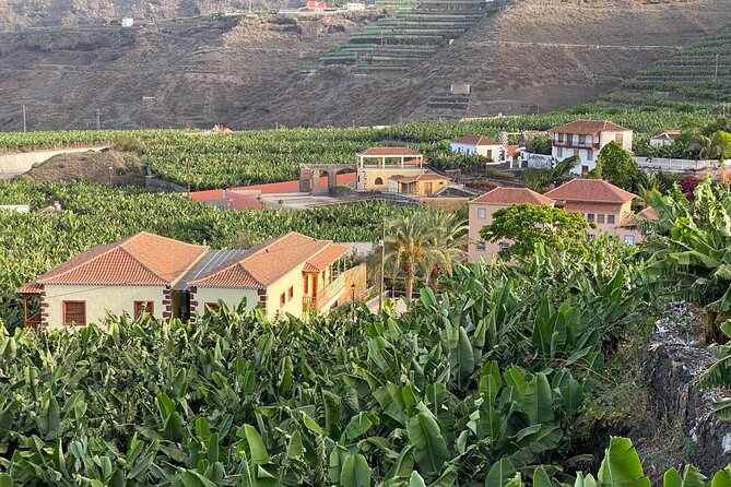 From Tenerife: Tajogaite Volcano, La Cumbrecita and Casco Antiguo - Tazacorte: Spain’s Youngest Lava Flows