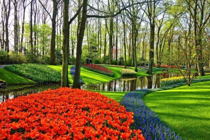 From The Hague: Private Tour To Keukenhof & Tulip Experience - Key Points