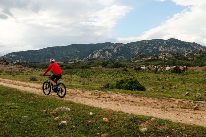 From the hills to Oasi Biderosa & Capo Comino with Electric Mountain Bikes - Technical Passages and Varied Terrain