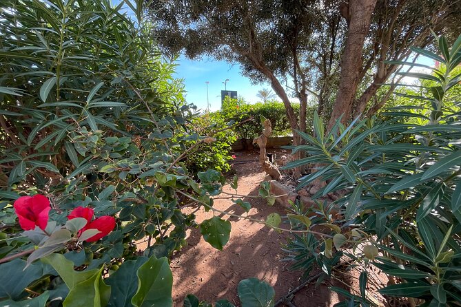 From the Old Town to the City of Arts  Small Group Bike Tour - Exploring the Marina and Valencia’s Embankments